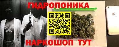 сатива Пугачёв