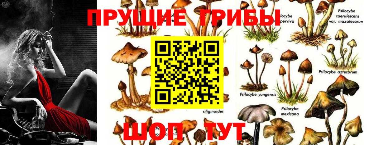 Псилоцибиновые грибы ЛСД  Галлюциногенные грибы Psilocybine cubensis  Прохладный  Вход с VPN 