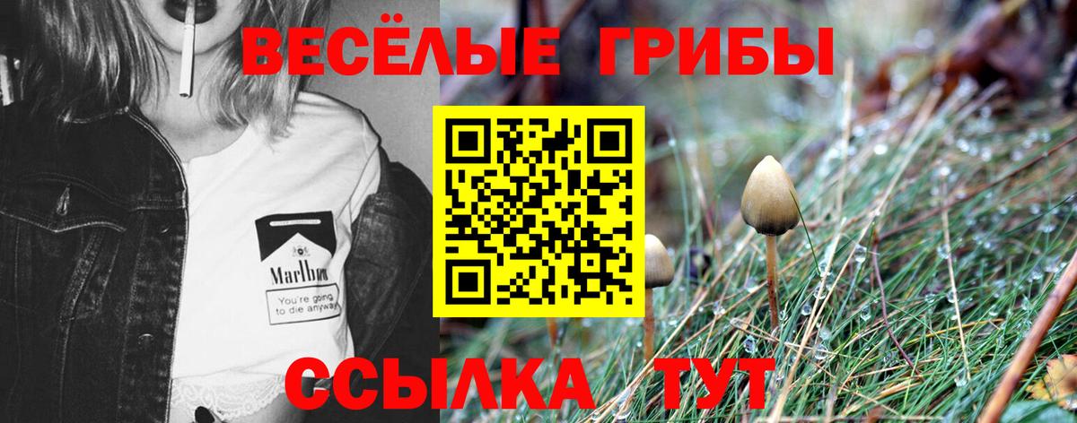 Галлюциногенные грибы мицелий Прохладный